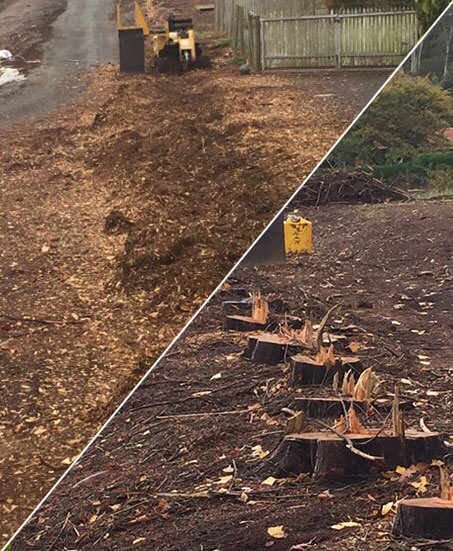 Tree Stump Removal Melbourne