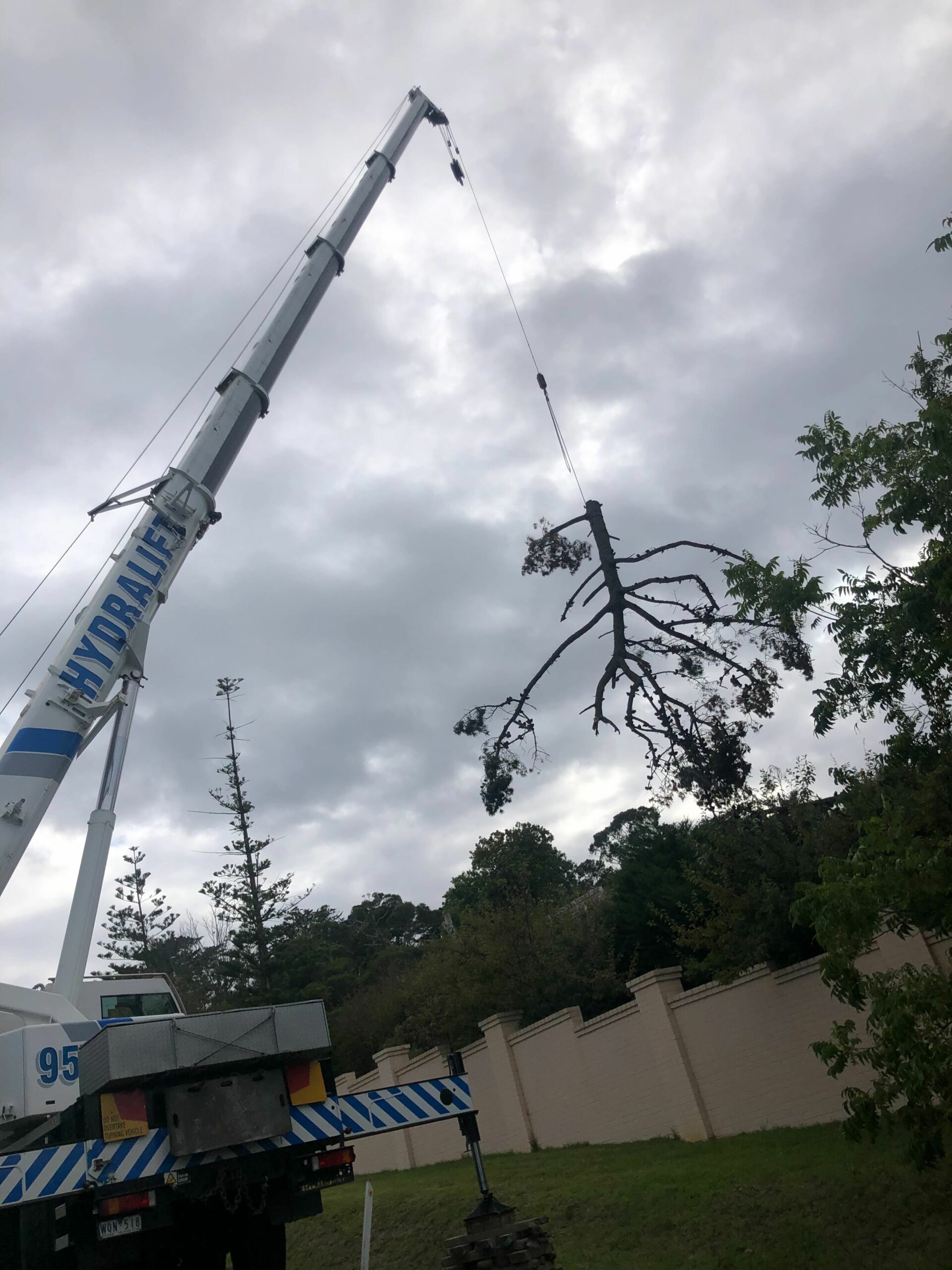 Crane In Action - Tree removal