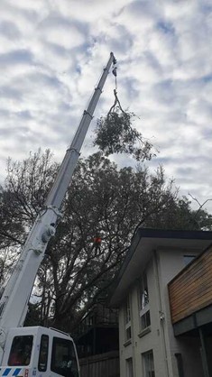 Specialised-Equipment-and-Machinery