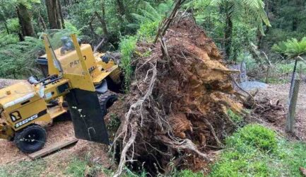 What is Stump Grinding? A Guide for Melbourne Homeowners