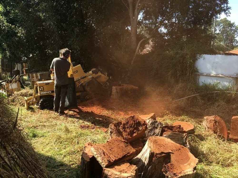 Stump-Grinding-Service