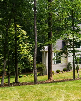 Commercial Property Managers