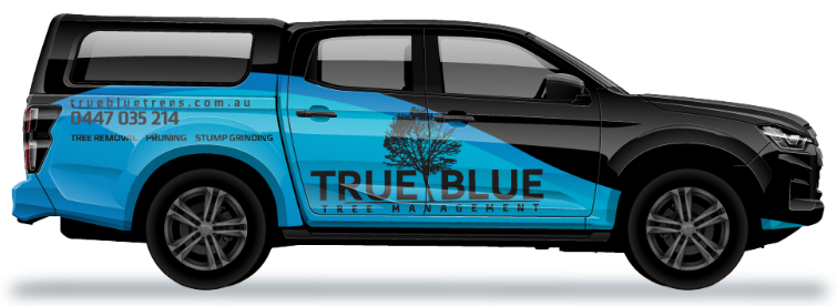 trueblue-van