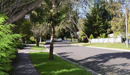 Do I Need a Permit in Maroondah Council for Tree Work?