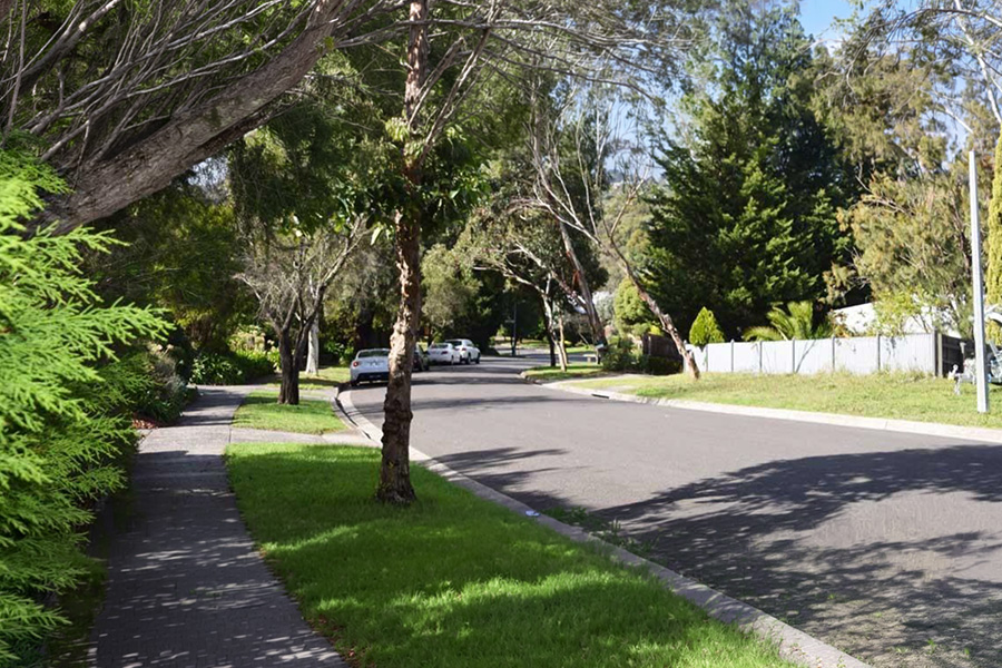 Do I Need a Permit in Maroondah Council for Tree Work?